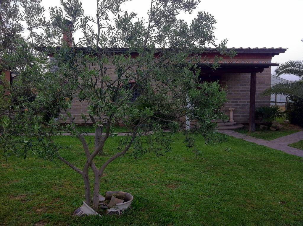 Agrisesto B&B Fregenae Exteriör bild
